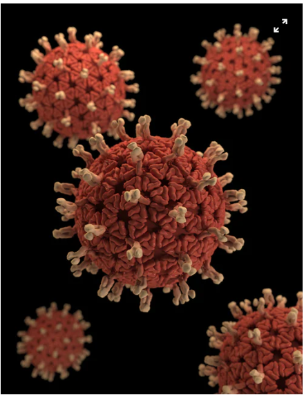 2 WAYS WE CAN REACT TO CORONAVIRUS