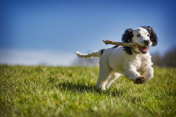 Personal Fitness Trainer Shrewsbury Shropshire