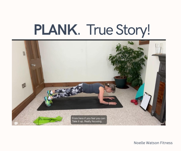 Plank.  Are You Taking The P***???