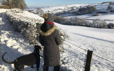 Zero-Exercise Exercise Programme