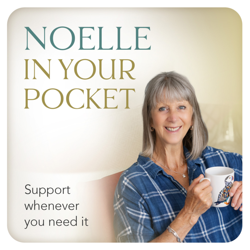 NW-NoelleInYourPocket.webp